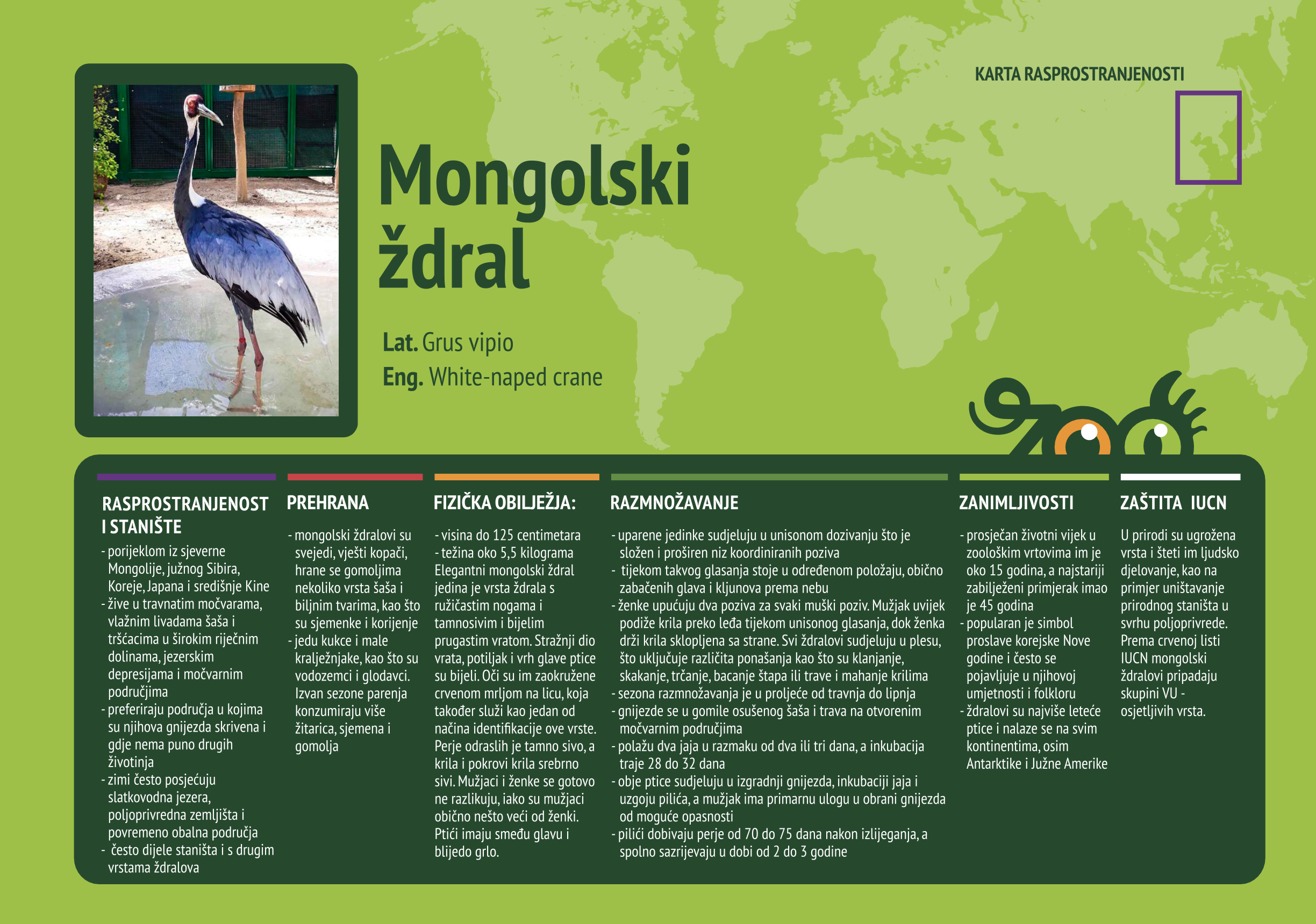 Mongolski ždral (Antigone vipio)